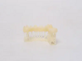 TC100 Temporary Crown & Bridge Resin - pryskyřice pro zubní modelovaní 1 kg